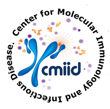 CMIID Logo