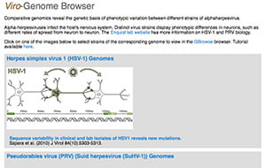 Viro-Genome Browser: